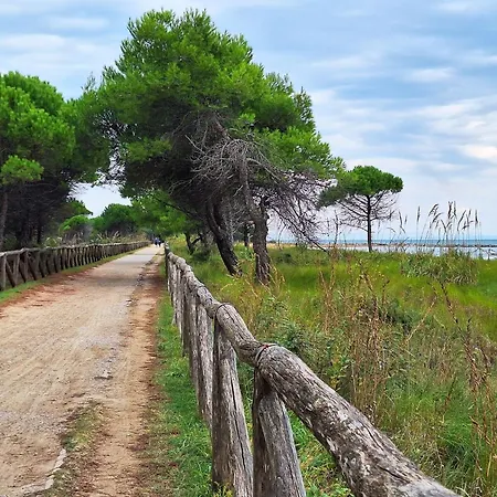 Dream Near Beaches * ביביונה